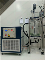 YSF-10-100双层玻璃反应釜